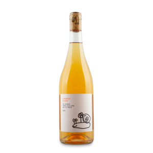 Camurrìa Orange